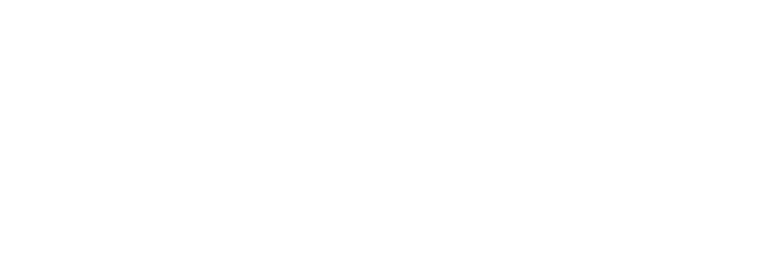 BronzeLens-logo